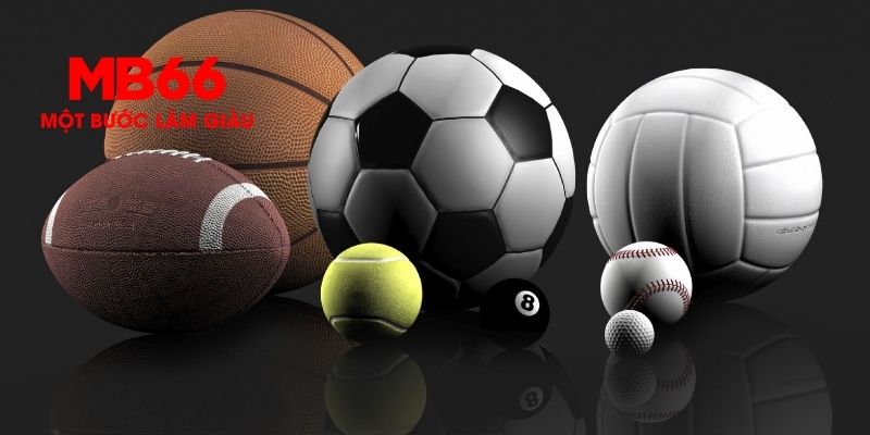 Các Môn Thể Thao MB66 Hàng Đầu Tại Nhà Cái